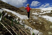 88 Scendendo dal Passo degli Omini sul 314 per Baite Moschel